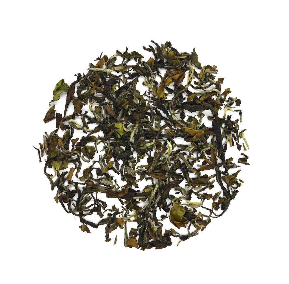 
                  
                    Load image into Gallery viewer, Darjeeling Clonal Signature Black Tea
                  
                