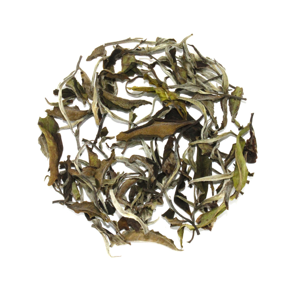 
                  
                    Load image into Gallery viewer, Organic Bai Mu Dan White Tea
                  
                